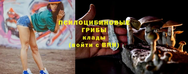 2c-b Дмитровск