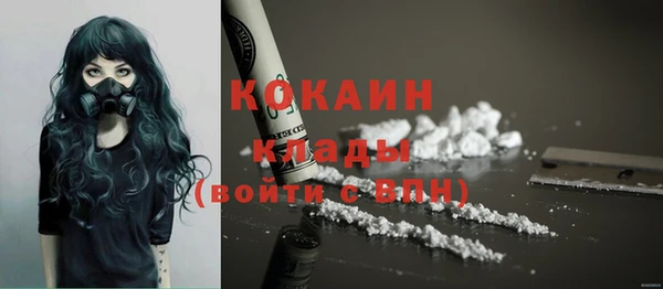 кокс Вяземский