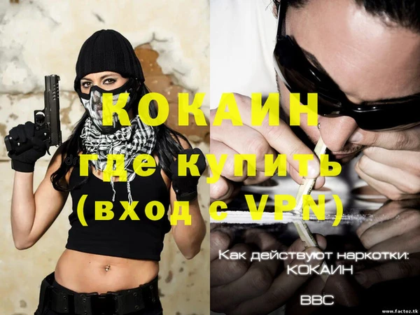 кокс Вяземский