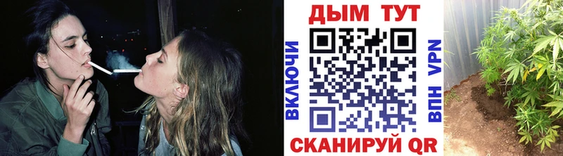 Купить где  Лаишево  Шишки марихуана OG Kush 